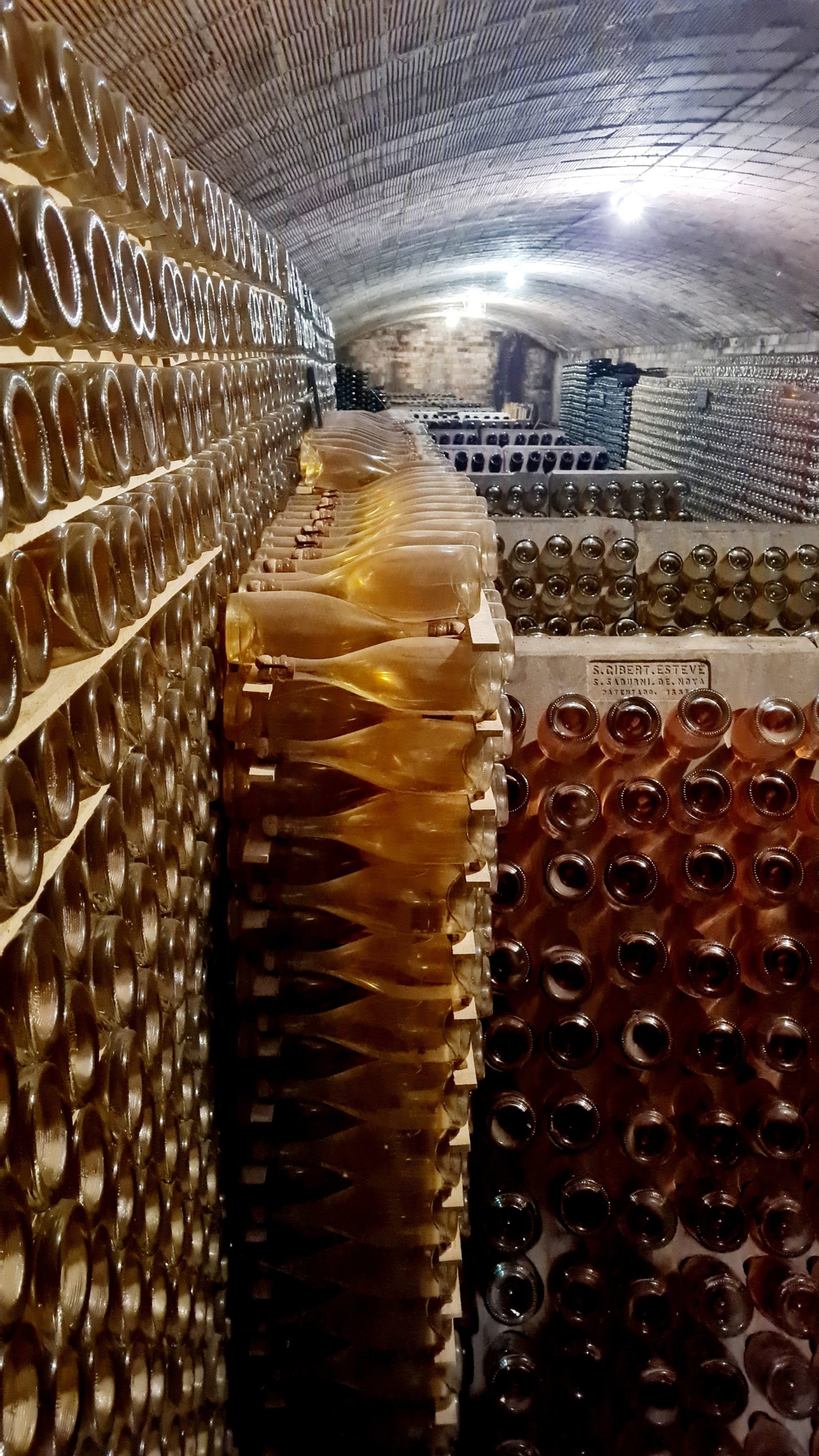 Descubre Oriol Rossell + Degustación de 4 Vinos i Cavas + Aperitivo - Imagen 5